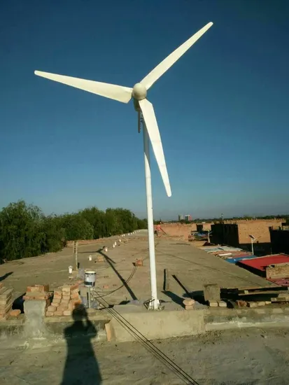 2kw+600W High Efficiency Wind Solar Power Hybrid System (2.6KW) Home Use Wind Power Generator Wind Turbine and Solar Power System Hybrid Power 