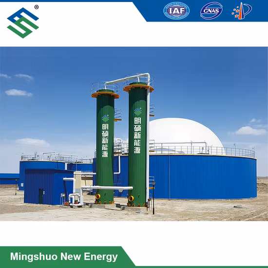 Clinical Waste Waste Burning Treatment Waste Gas Rto
